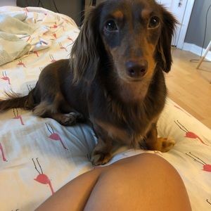 Meet your Posher, Arminda